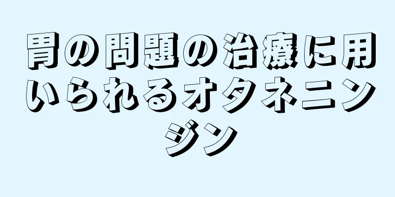 胃の問題の治療に用いられるオタネニンジン