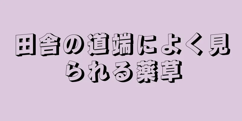 田舎の道端によく見られる薬草