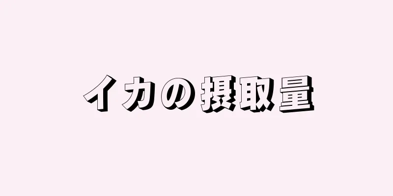 イカの摂取量