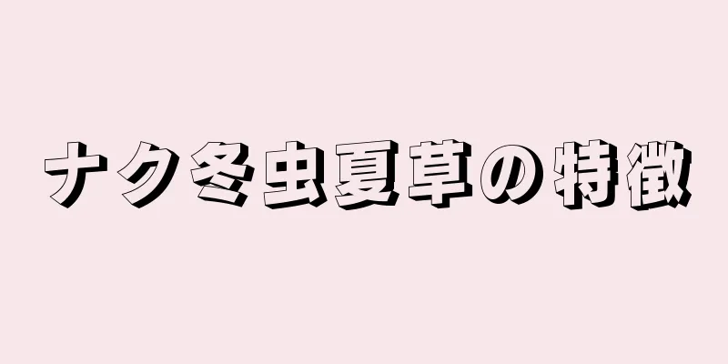 ナク冬虫夏草の特徴