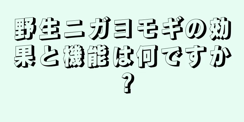 野生ニガヨモギの効果と機能は何ですか？