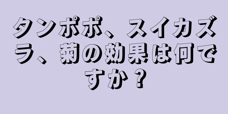 タンポポ、スイカズラ、菊の効果は何ですか？
