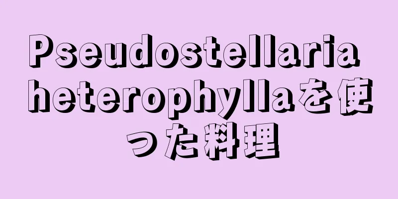 Pseudostellaria heterophyllaを使った料理