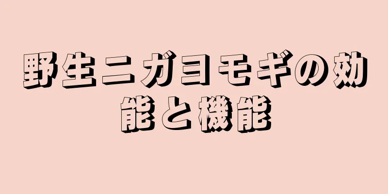 野生ニガヨモギの効能と機能