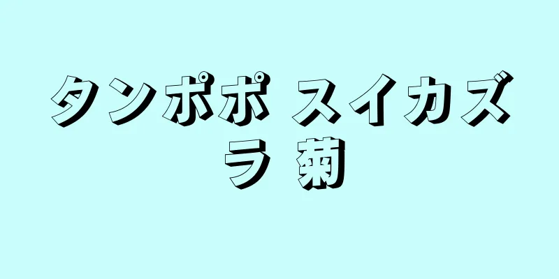 タンポポ スイカズラ 菊