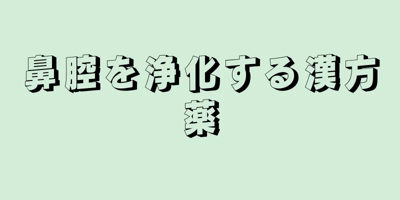 鼻腔を浄化する漢方薬