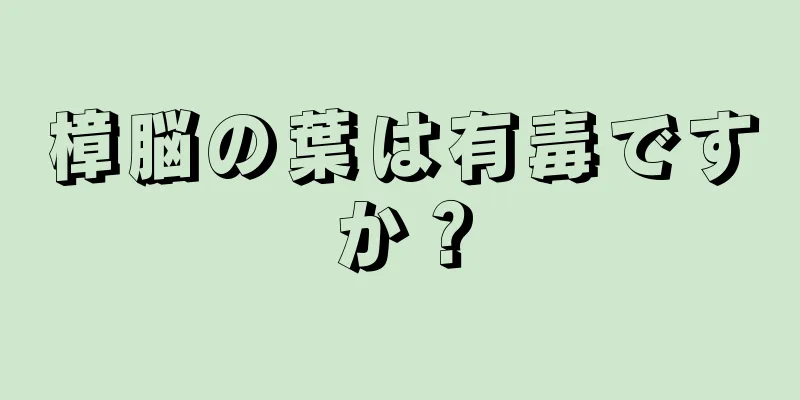 樟脳の葉は有毒ですか？