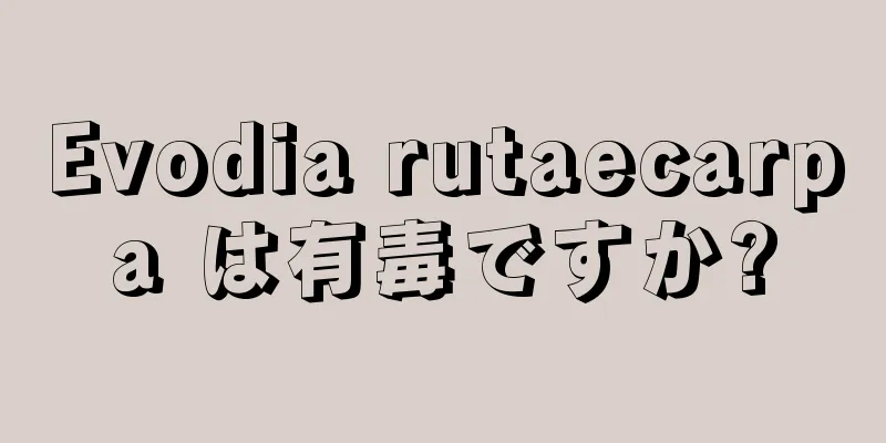 Evodia rutaecarpa は有毒ですか?