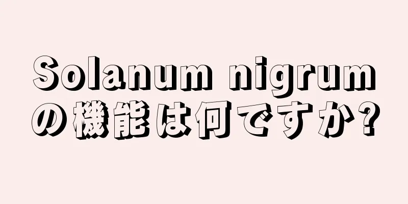 Solanum nigrumの機能は何ですか?