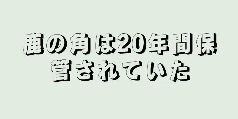 鹿の角は20年間保管されていた
