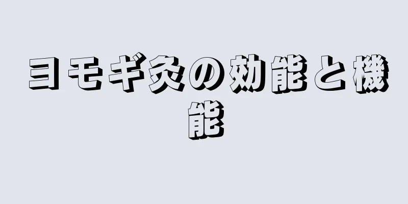 ヨモギ灸の効能と機能