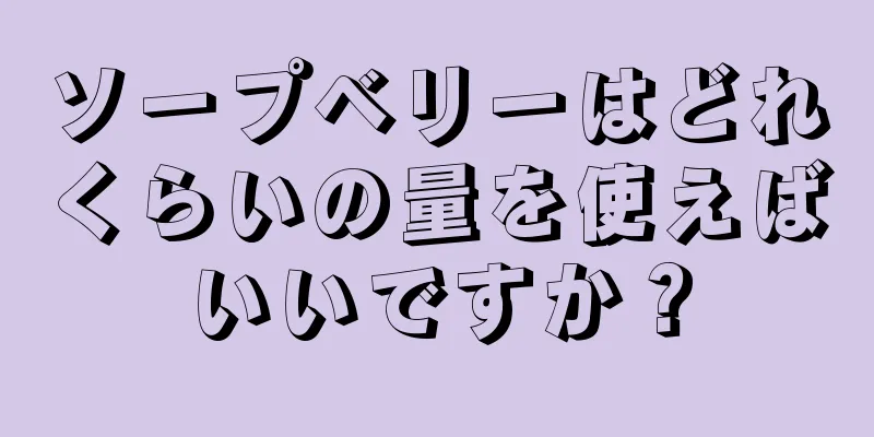 ソープベリーはどれくらいの量を使えばいいですか？