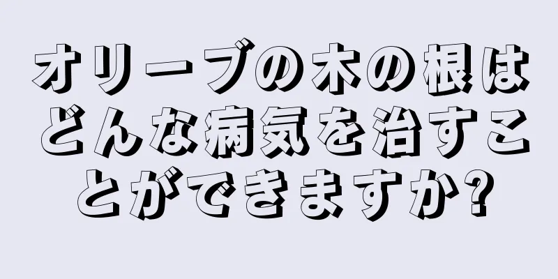 オリーブの木の根はどんな病気を治すことができますか?