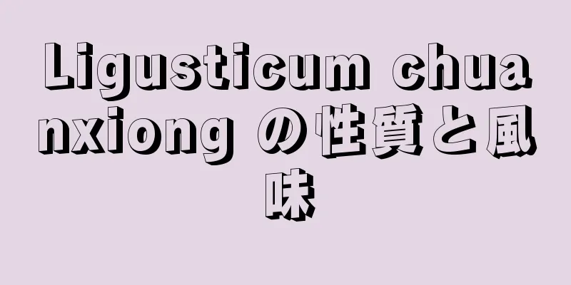 Ligusticum chuanxiong の性質と風味