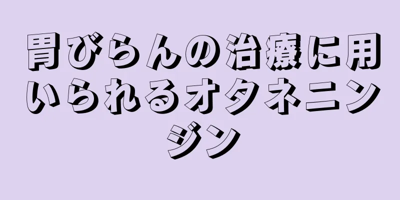 胃びらんの治療に用いられるオタネニンジン