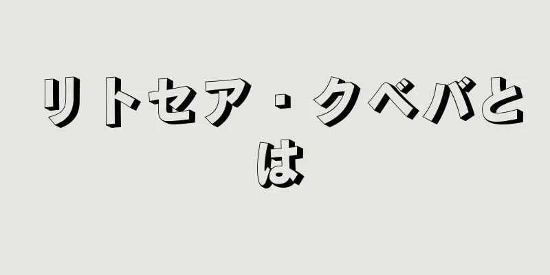 リトセア・クベバとは