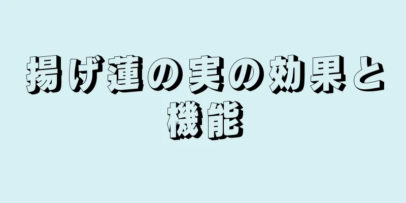 揚げ蓮の実の効果と機能