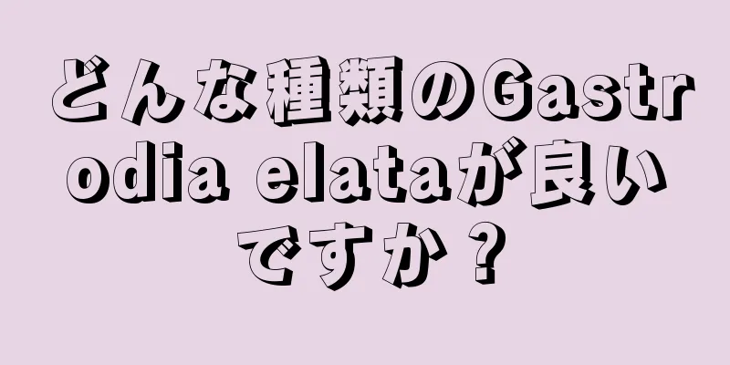 どんな種類のGastrodia elataが良いですか？