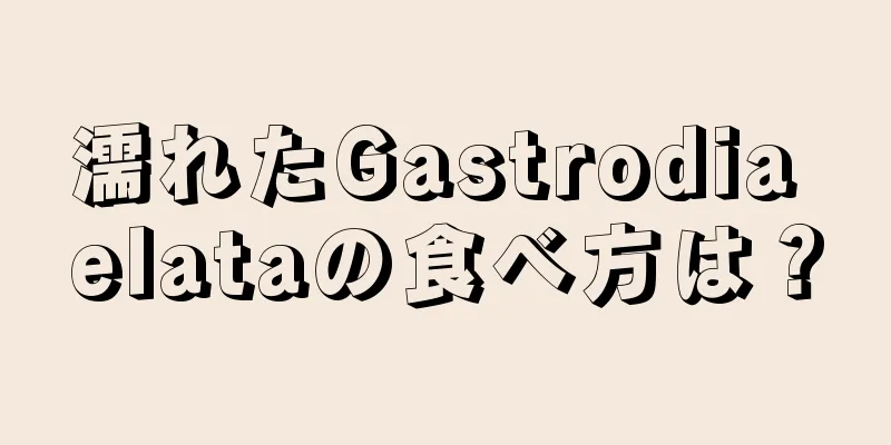 濡れたGastrodia elataの食べ方は？