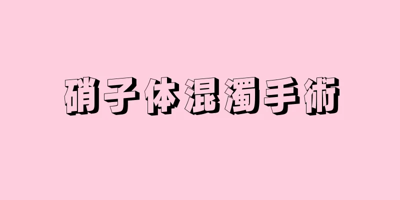 硝子体混濁手術