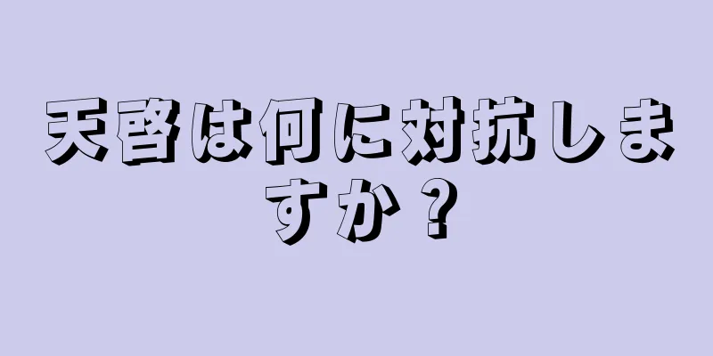 天啓は何に対抗しますか？
