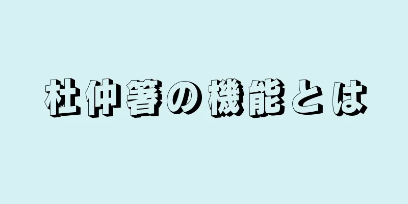 杜仲箸の機能とは