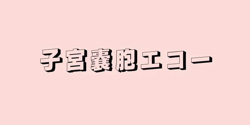 子宮嚢胞エコー