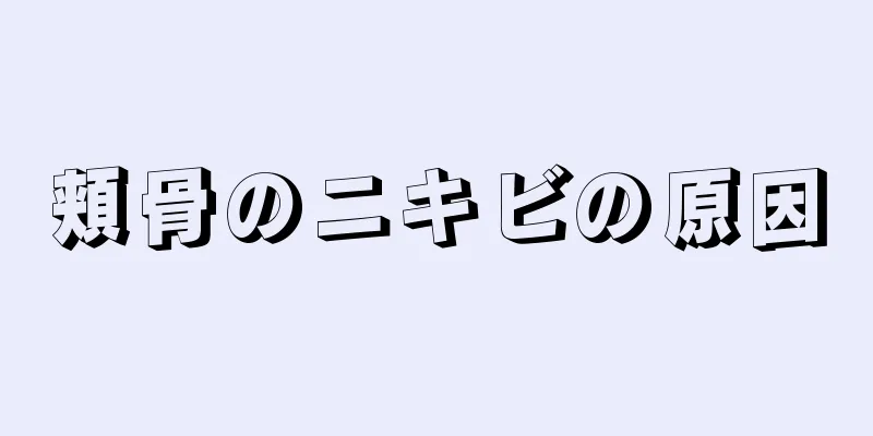 頬骨のニキビの原因