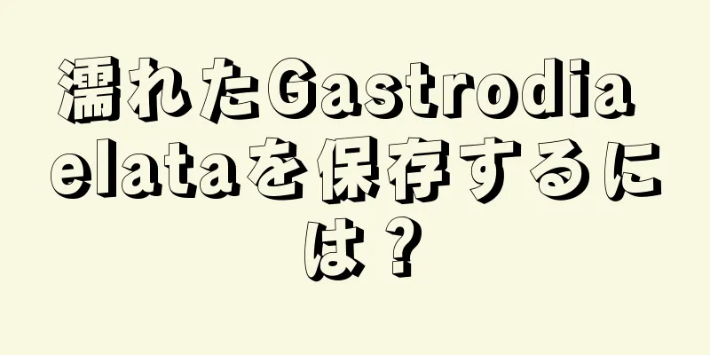 濡れたGastrodia elataを保存するには？