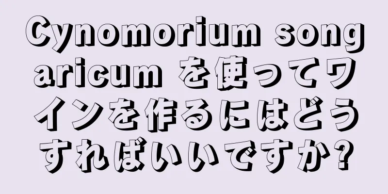 Cynomorium songaricum を使ってワインを作るにはどうすればいいですか?