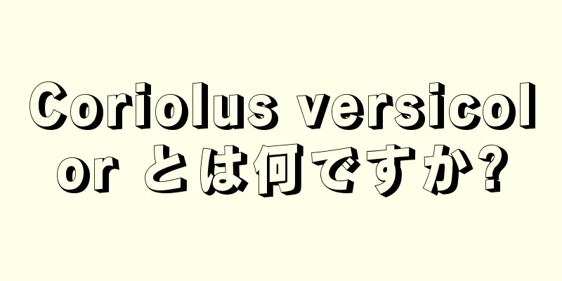 Coriolus versicolor とは何ですか?