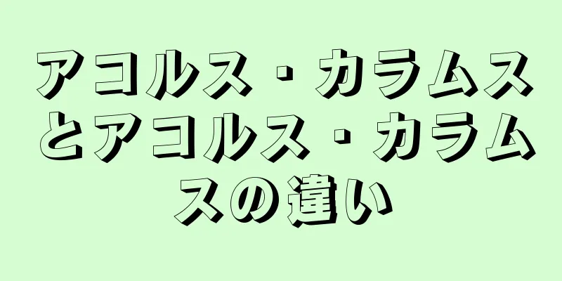 アコルス・カラムスとアコルス・カラムスの違い