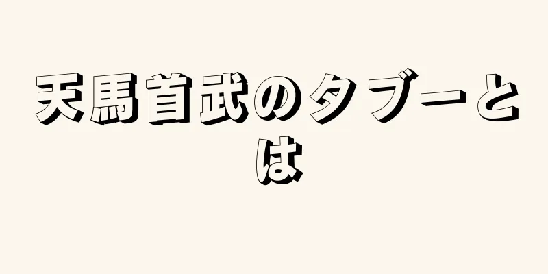 天馬首武のタブーとは