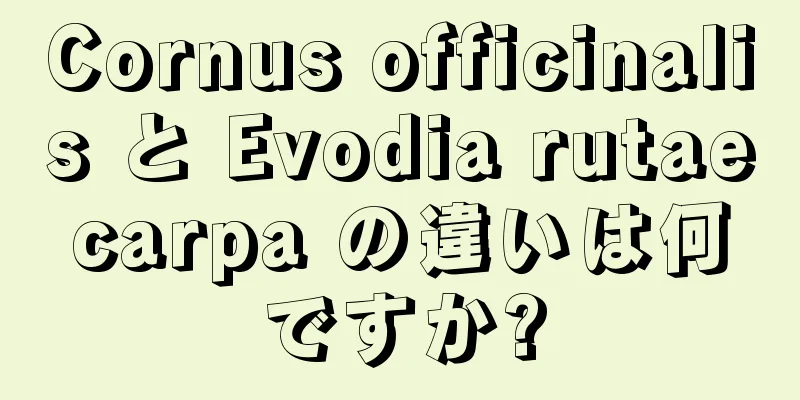 Cornus officinalis と Evodia rutaecarpa の違いは何ですか?