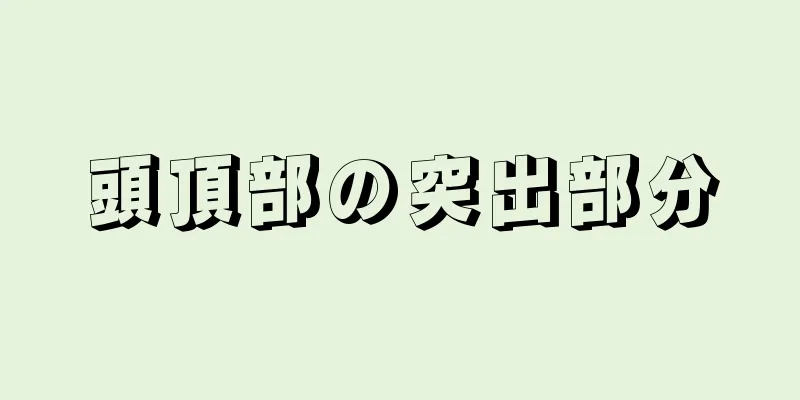 頭頂部の突出部分