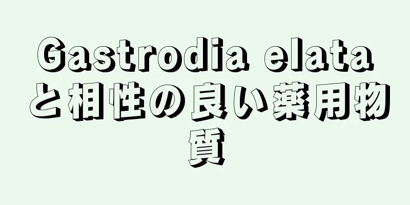 Gastrodia elataと相性の良い薬用物質