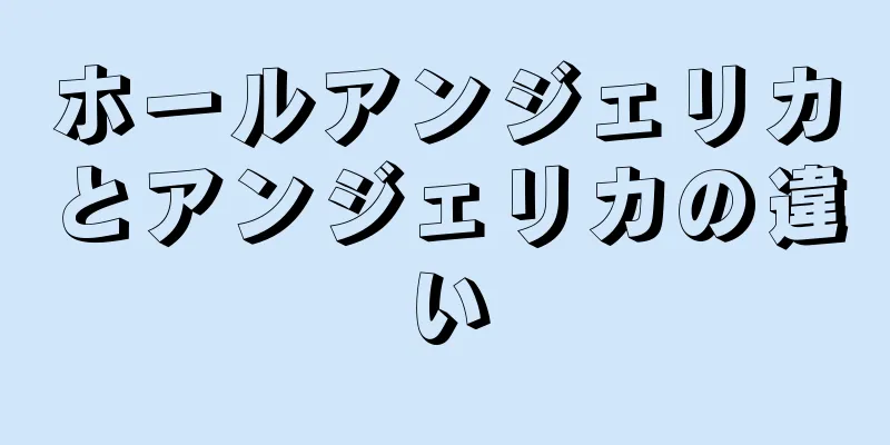 ホールアンジェリカとアンジェリカの違い