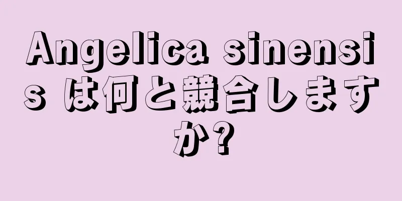 Angelica sinensis は何と競合しますか?