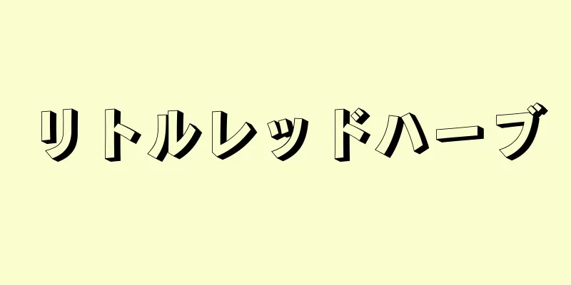 リトルレッドハーブ