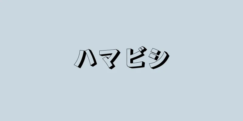 ハマビシ