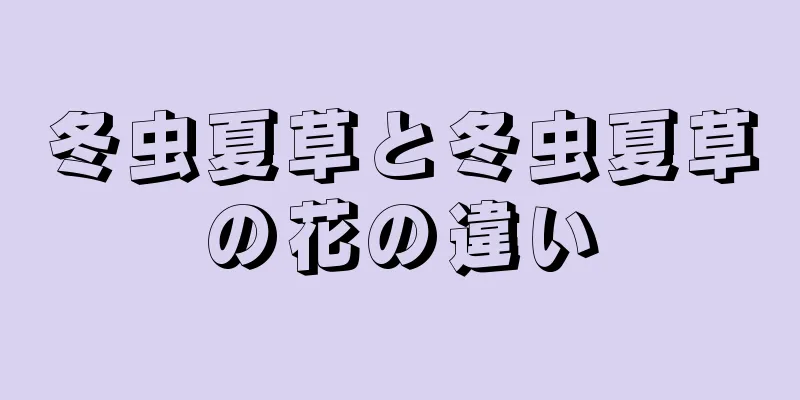 冬虫夏草と冬虫夏草の花の違い