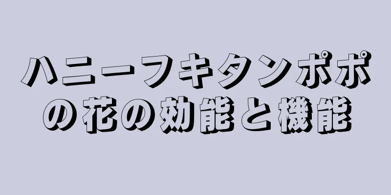 ハニーフキタンポポの花の効能と機能