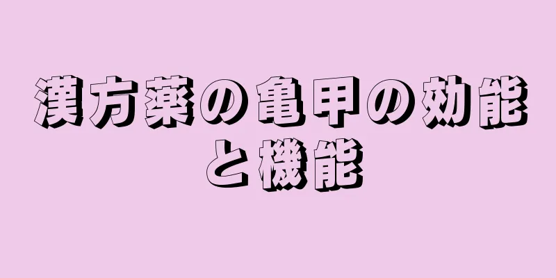 漢方薬の亀甲の効能と機能