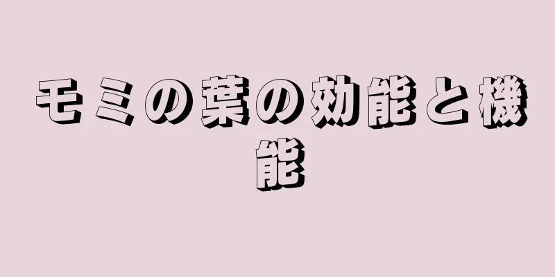 モミの葉の効能と機能