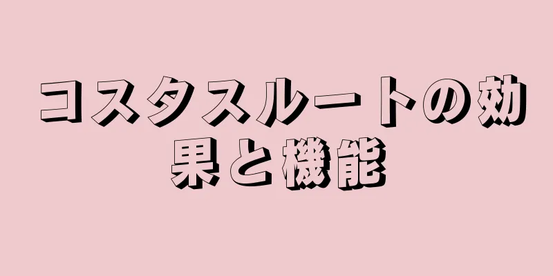 コスタスルートの効果と機能