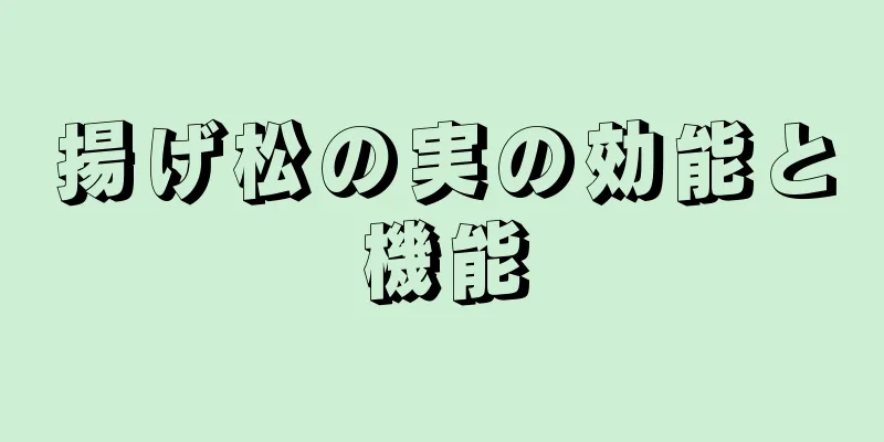 揚げ松の実の効能と機能