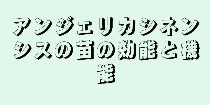 アンジェリカシネンシスの苗の効能と機能