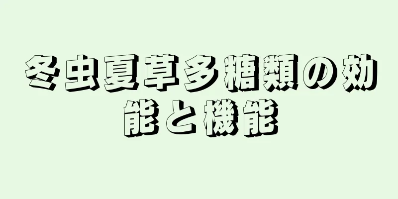 冬虫夏草多糖類の効能と機能