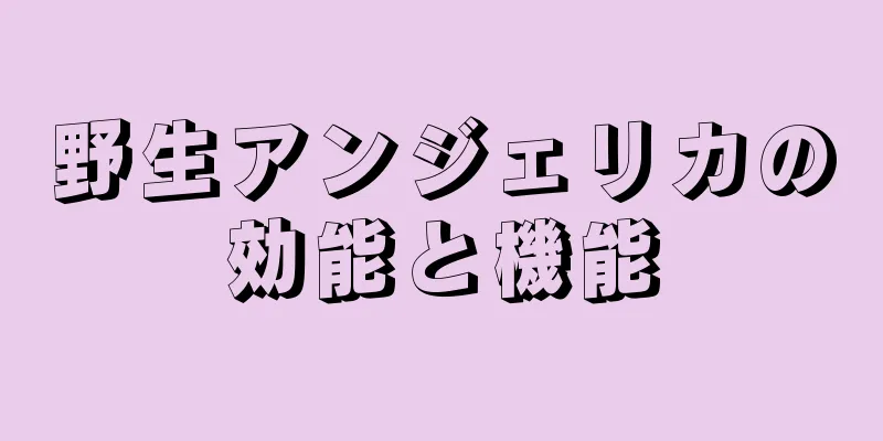 野生アンジェリカの効能と機能