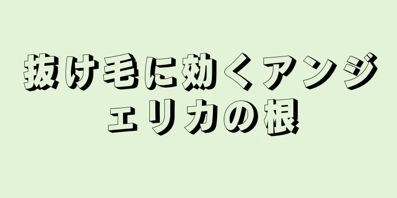 抜け毛に効くアンジェリカの根